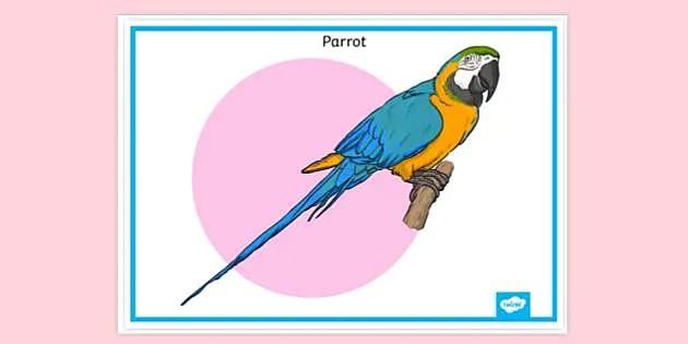 Parrot Poster 