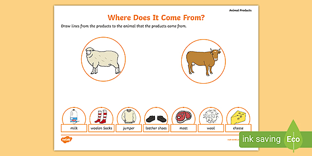 Where Does It Come From? – Animal Products Worksheet