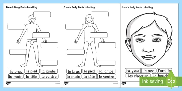 French Body Parts Labelling Worksheet - French, Body, Part