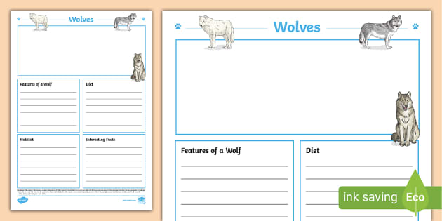 Wolf Fact File Template,wolf,wolves - Twinkl