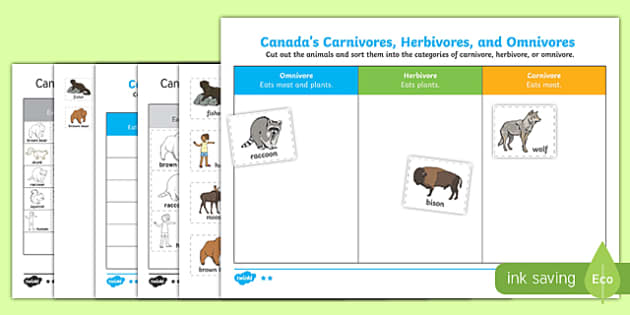 Carnivores, Omnivores and Herbivores in Canada - Twinkl
