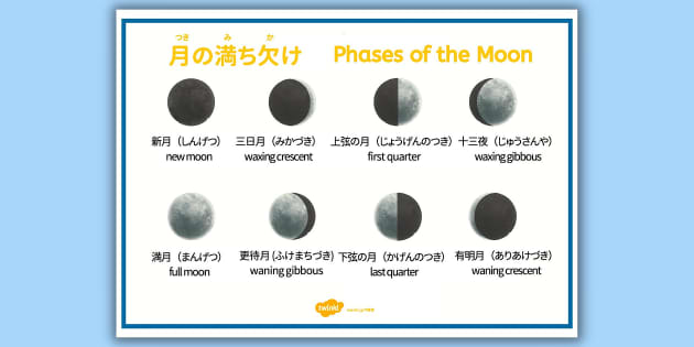 月の満ち欠け 単語シート 英語と日本語 Phases of the Moon Word Mat