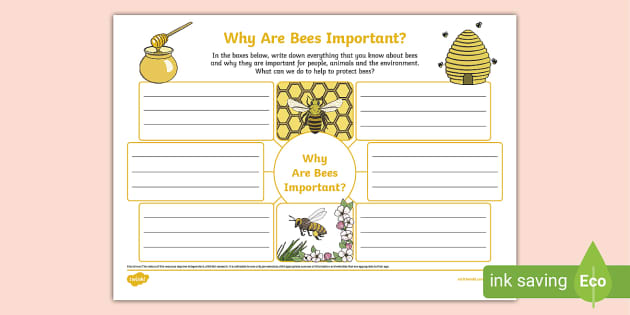 Why are Bees Important?