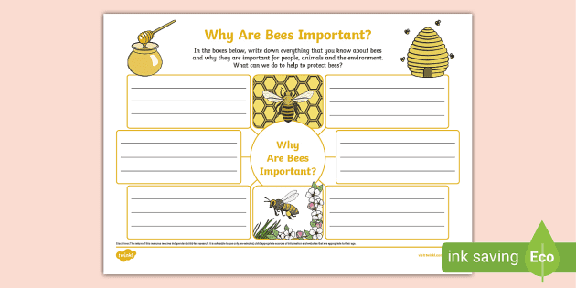 Why are Bees Important?