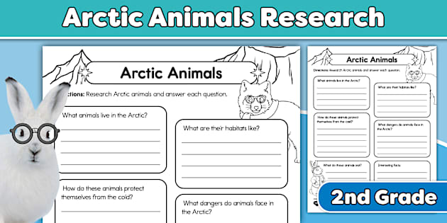 Science Cv Examples Uk Second Grade Arctic Animals Science Research Graphic Organizer