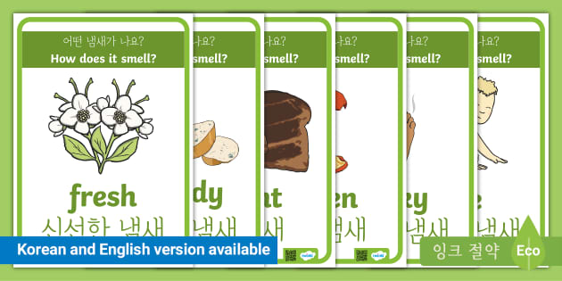 후각 형용사 디스플레이 포스터 Smell Adjectives Display Posters
