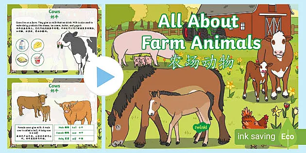 All About Farm Animals PowerPoint - English/Mandarin Chinese