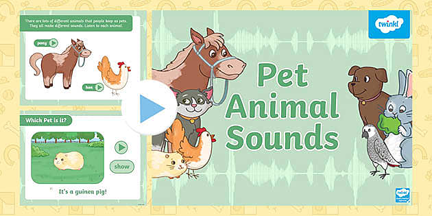 Pet Animal Sounds Phase 1 Phonics PowerPoint (teacher made)