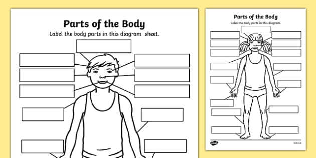 Parts Of The Body Labelling Worksheet - body parts, body