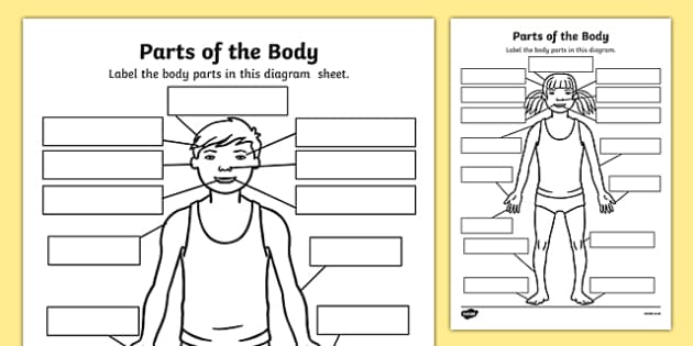 parts of the body worksheets pre kk 1 labelling activity