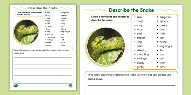Character Description, Collect your Favorite Snakes