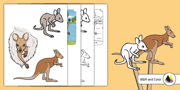 Tales From Around The World How Kangaroo Got Her Pouch Stick Puppets Tales From Around The World How Kangaroo Got Her Pouch Stick Puppets