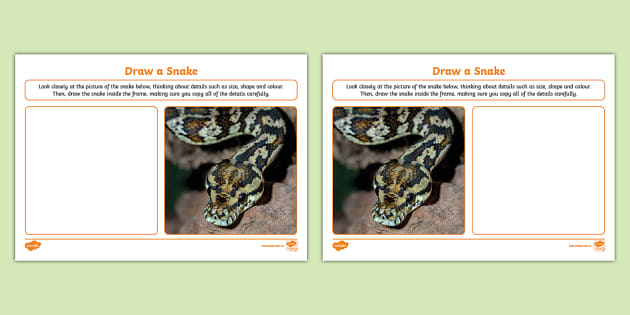 Draw a Snake Worksheet (Teacher-Made) - Twinkl
