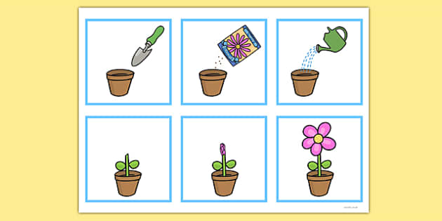6 Step Sequencing Pictures Printable Free