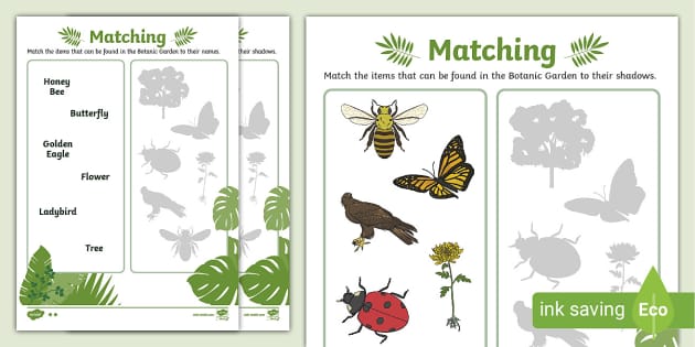 National Botanic Gardens Activity Sheets (teacher made)