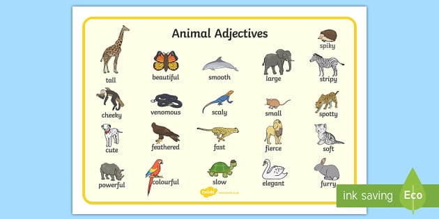 Animal Adjectives Word Mat ESL Animals Vocabulary