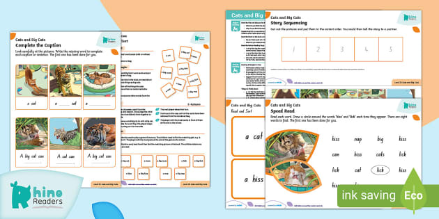 Level 2b Cats and Big Cats Guided Reading Pack - Twinkl