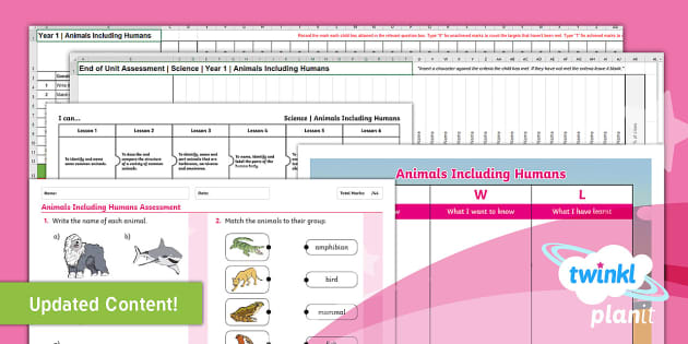 Animals Including Humans: Assessment Pack Year 1 - Twinkl