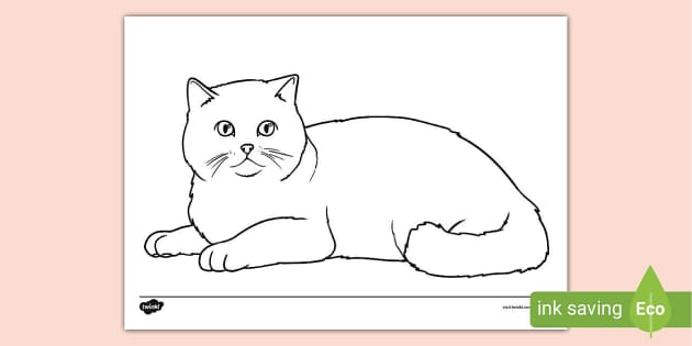 14+ Cartoon Cat Coloring