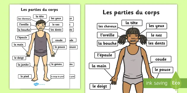 Parties Du Corps French Teacher Made