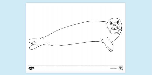 Seal Colouring Page | Colouring Sheets (teacher made)