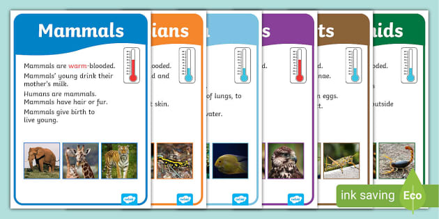 types of animals chart