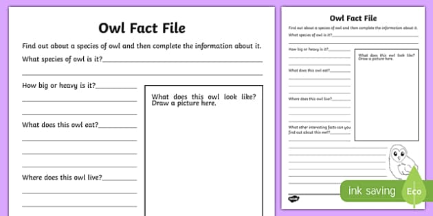 ks1 animal worksheet Worksheet Activity / Owl File Sheet Fact Scottish, worksheet