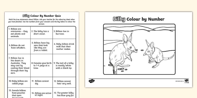 Bilby Colour By Number Quiz Teacher Made Twinkl