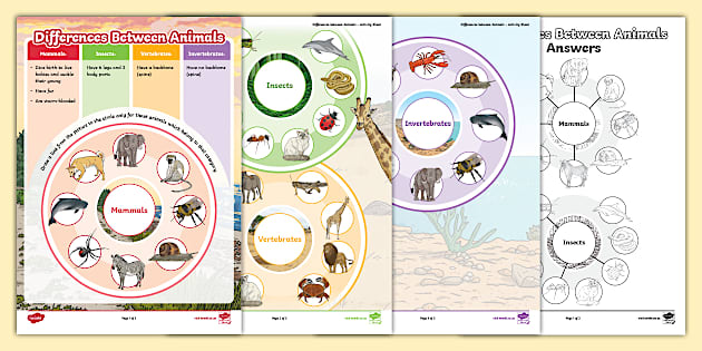 Differences Between Animals - Activity Sheet - Twinkl