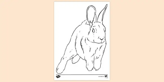 hopping bunny coloring pages