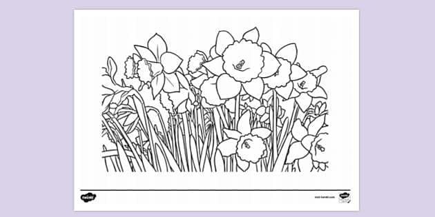 https://images.twinkl.co.uk/tw1n/image/private/t_630_eco/image_repo/ba/38/t-tp-2663266-springtime-colouring-pages_ver_2.jpg