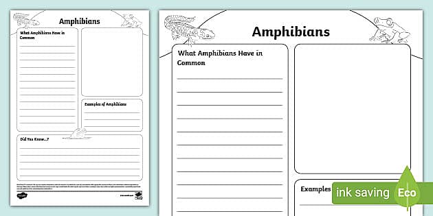 Amphibian Fact File Template,amphibians (teacher made)