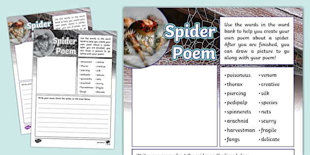 Spider Poem Writing Template (teacher made) - Twinkl