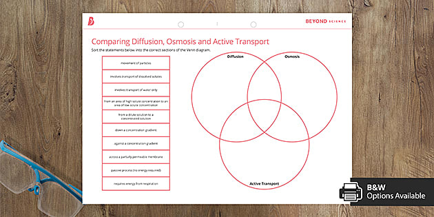 Comparing Diffusion, Osmosis and Active Transport | Beyond