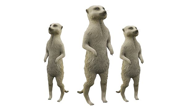 3D Model: Mammals - Lemming (Teacher-Made) - Twinkl