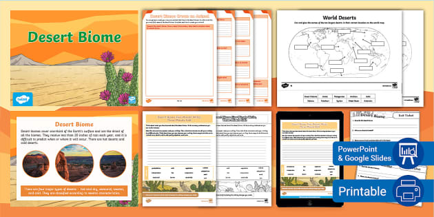 Desert Biome Lesson Pack (Teacher-Made) - Twinkl