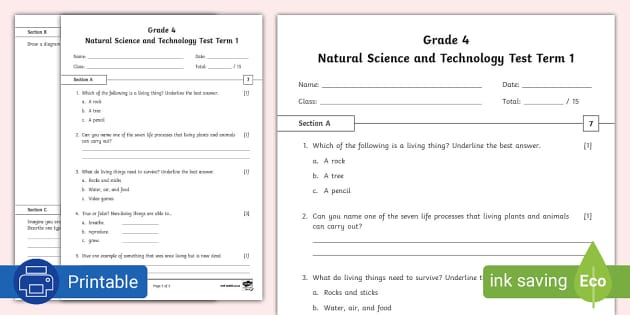 FREE! - Grade 4 NS Tech Term 1 Test (teacher made) - Twinkl