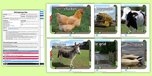 Farm Animal Describe it and Find it Adult Led Focus Resource Pack