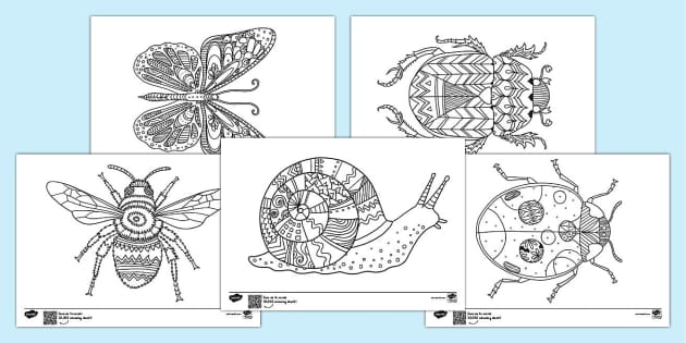 Minibeast Art Colouring Sheets - Primary Resources - Twinkl