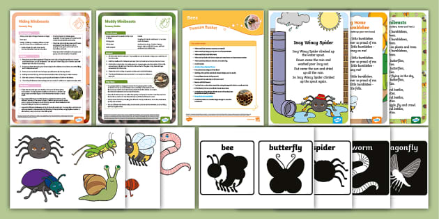 Minibeast Activities for Younger Babies in an Early Years Setting (Ages ...