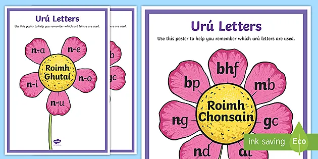 Uru Flower Display Posters Gaeilge Teacher Made