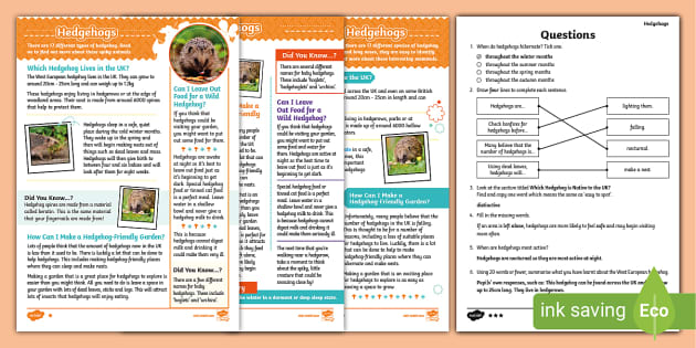 LKS2 Hedgehogs Differentiated Reading Comprehension Activity