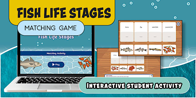 Fish Life Stages Interactive Matching Game