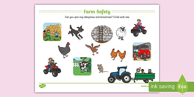 Farm Safety Activity Page (teacher Made) - Twinkl