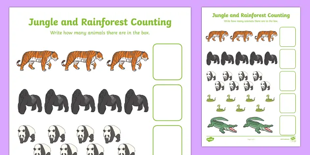 free my counting worksheet jungle rainforest