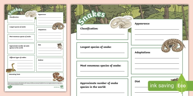 KS2 Snakes Fact File Template (teacher made) - Twinkl