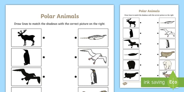 Arctic Animals Shadow Matching Worksheet for Kids