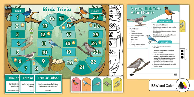 American Birds Trivia Board Game (teacher made) - Twinkl