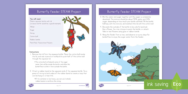 Butterfly Feeder Steam Craft Teacher Made