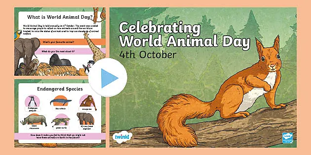 Celebrating World Animal Day PowerPoint (teacher made)